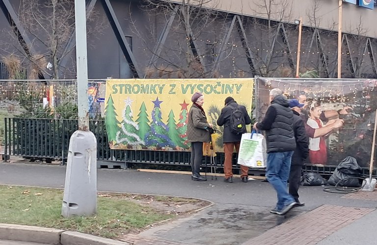 My Actifit Report Card: December 23 2025