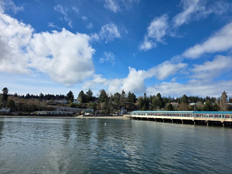 My Actifit Report Card: March 29 2026