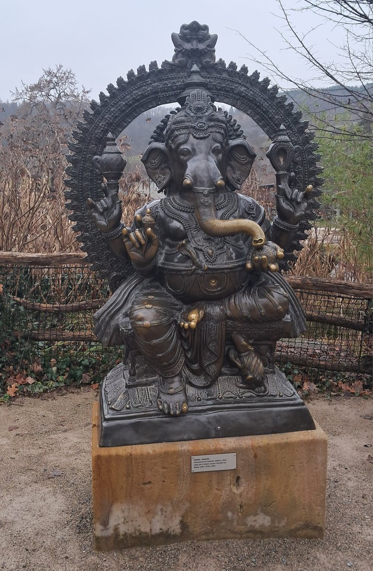 My Actifit Report Card: December 29 2025