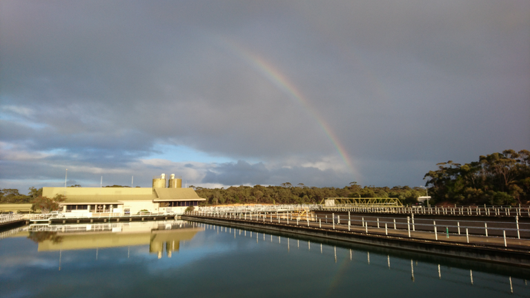 Rainbow over a water treatment plant sedimentation tank