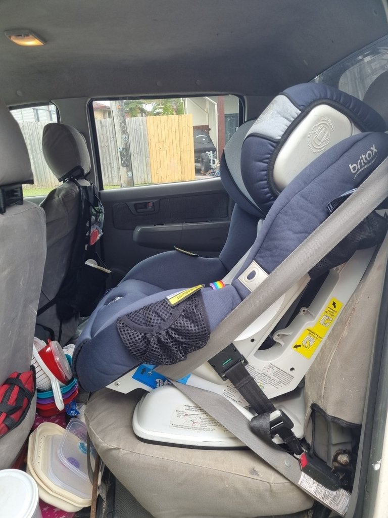 My Actifit Report Card: January 19 2026