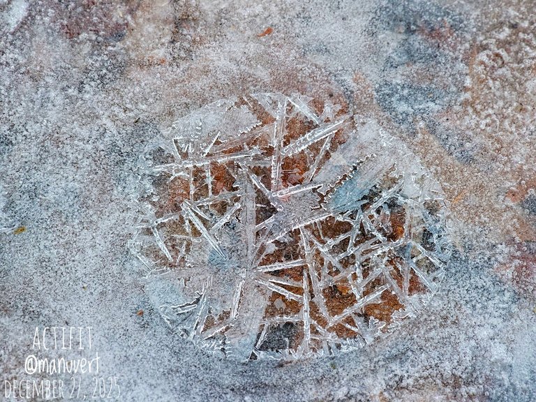 My Actifit Report Card: December 27 2025