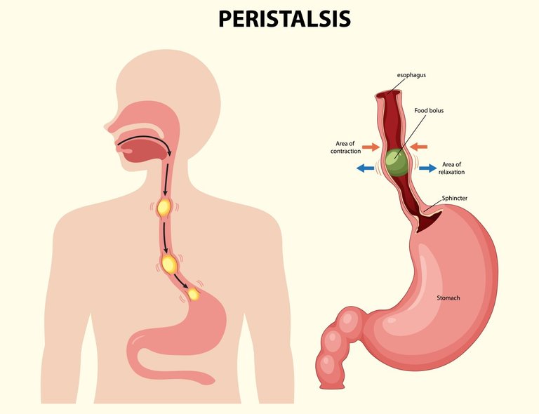 My Actifit Report Card: January 3 2026