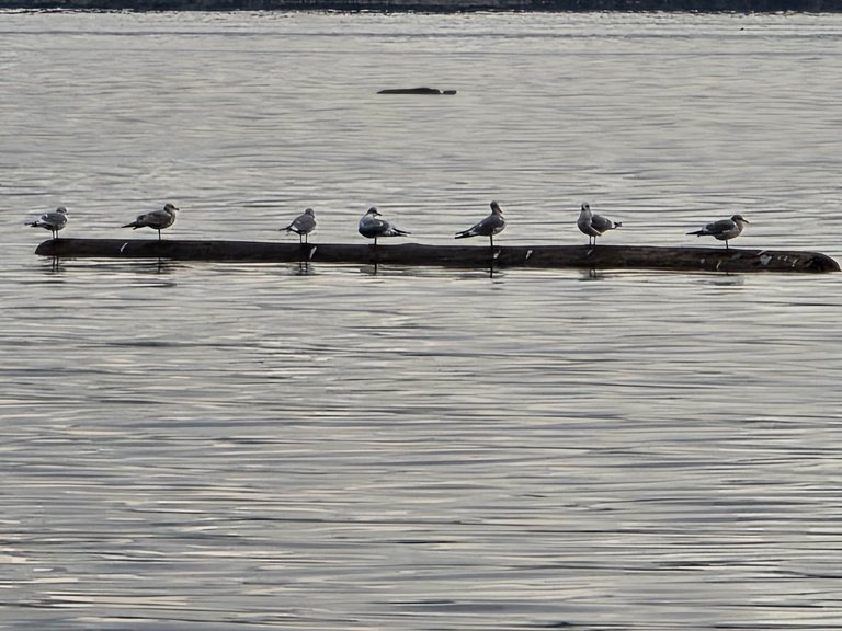 Maximizing The Last Days of 2025