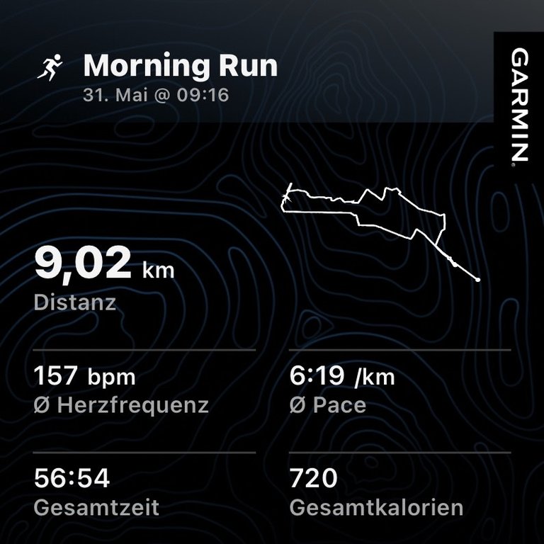 My Actifit Report Card: May 31 2026