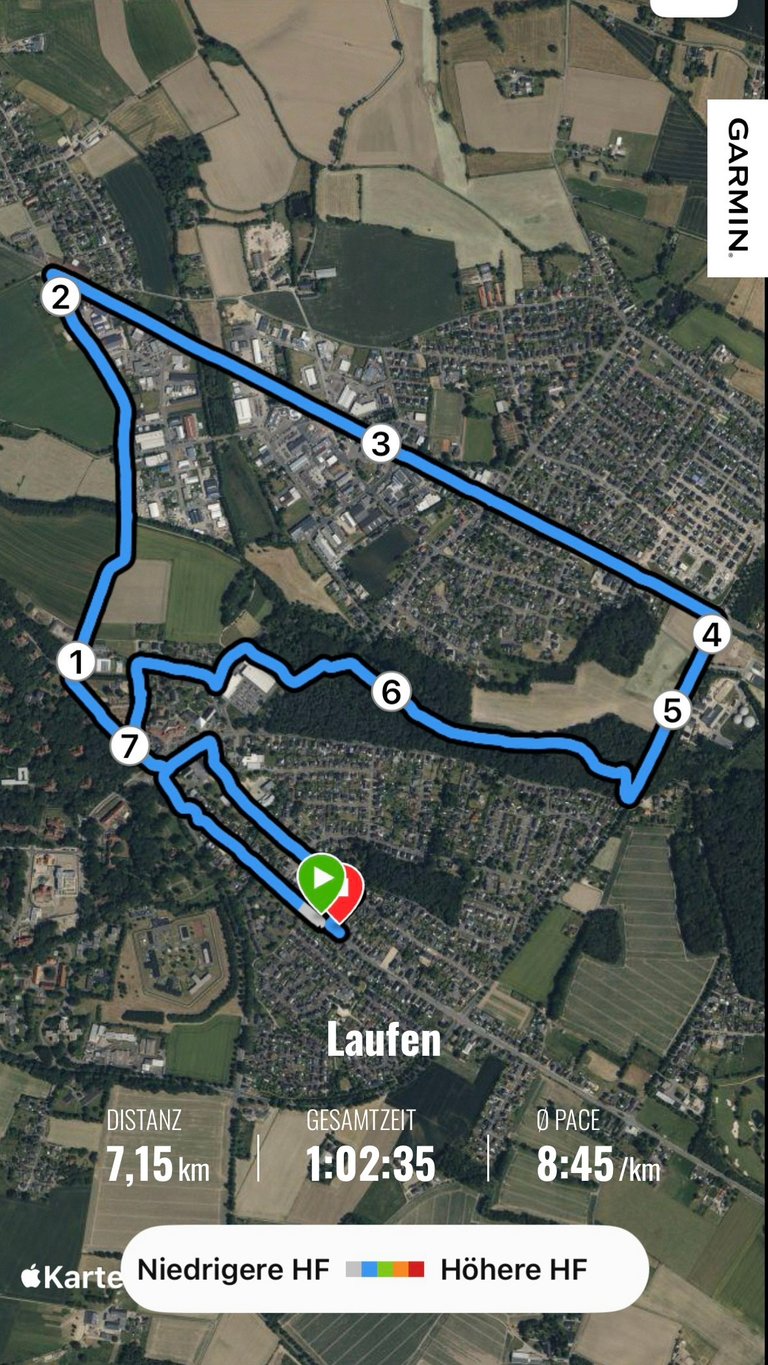 My Actifit Report Card: September 18 2026