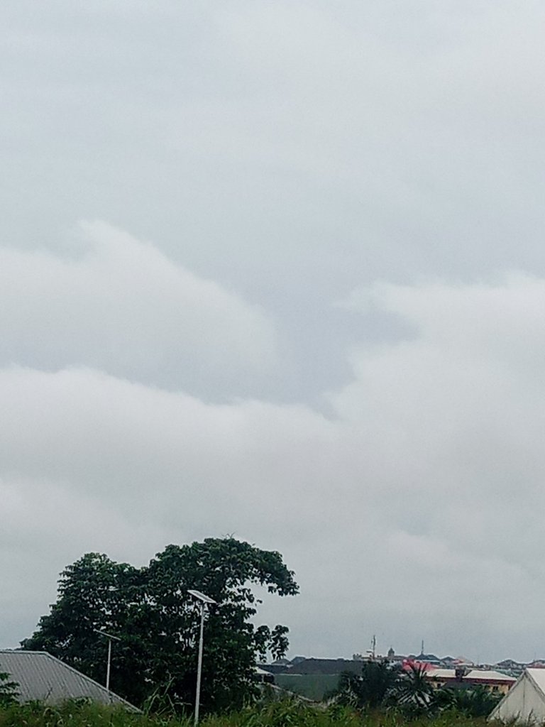 My Actifit Report Card: December 24 2025