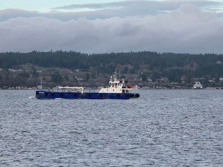 My Actifit Report Card: December 26 2025