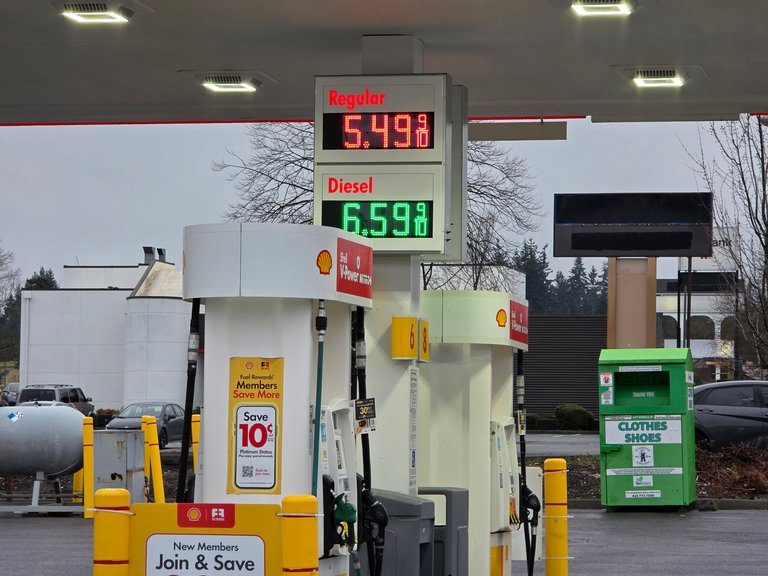 My Actifit Report Card: March 22 2026