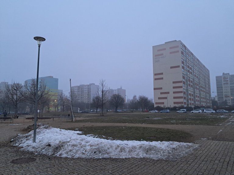 My Actifit Report Card: January 26 2026