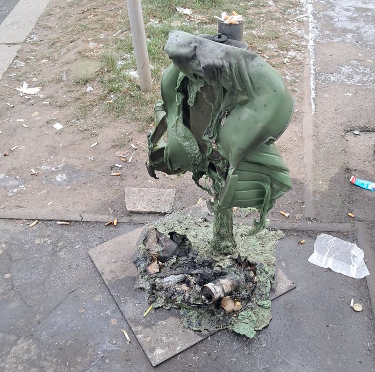 My Actifit Report Card: December 31 2025