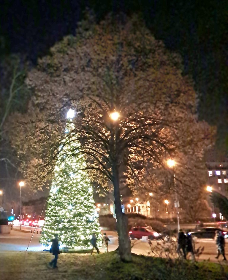 My Actifit Report Card: December 20 2025