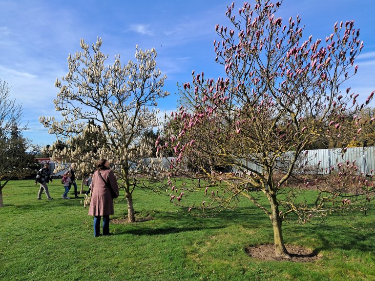 My Actifit Report Card: April 10 2026