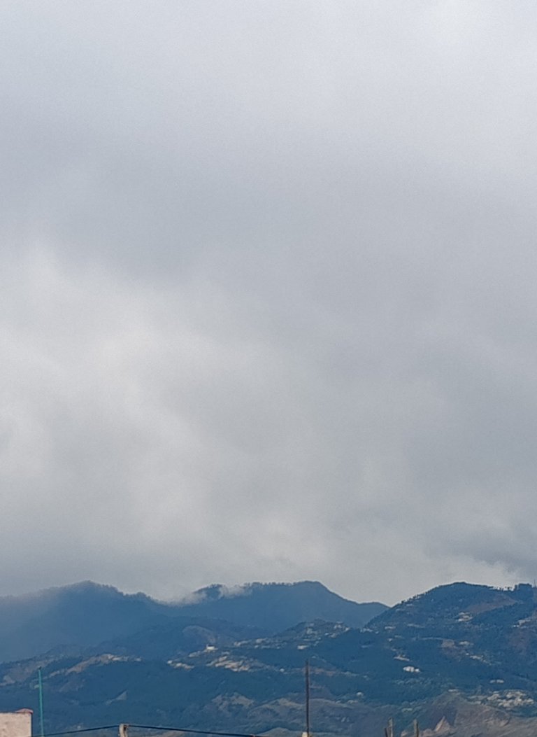 My Actifit Report Card: April 5 2026