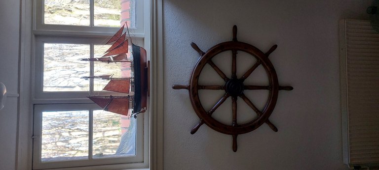 Nothing special - My Actifit Report Card: January 20 2026