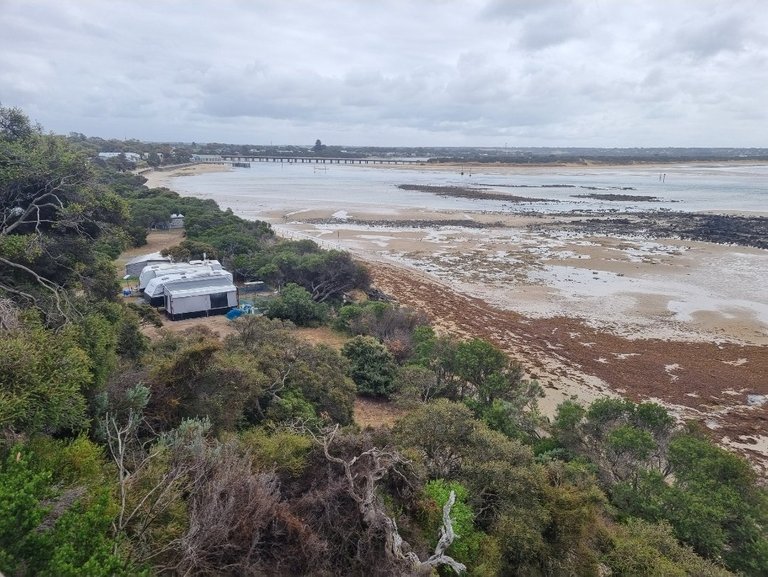 My Actifit Report Card: March 13 2026