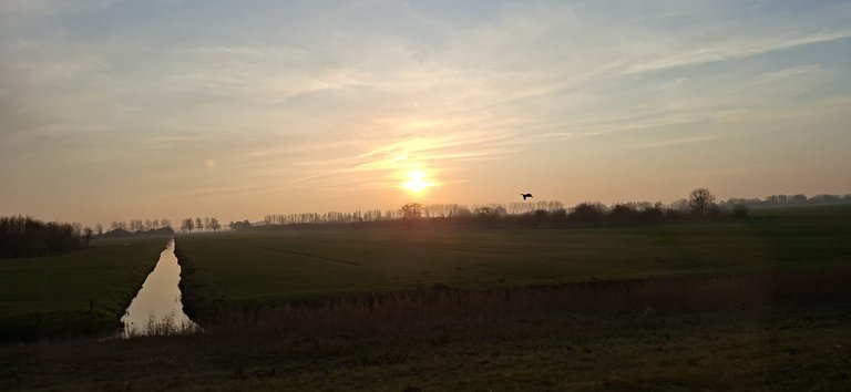 Some relaxing and a job - My Actifit Report Card: January 24 2026