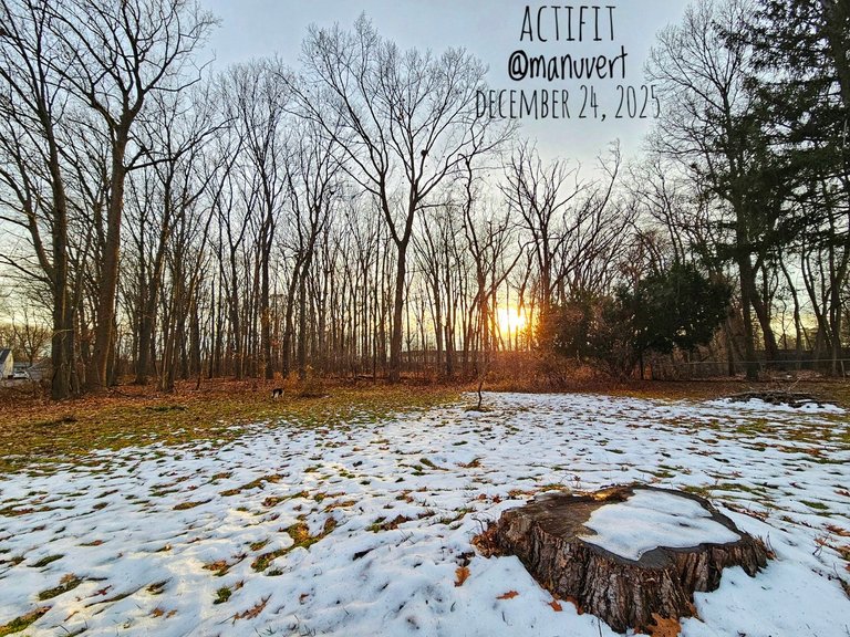 My Actifit Report Card: December 24 2025