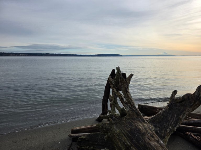 My Actifit Report Card: March 28 2026