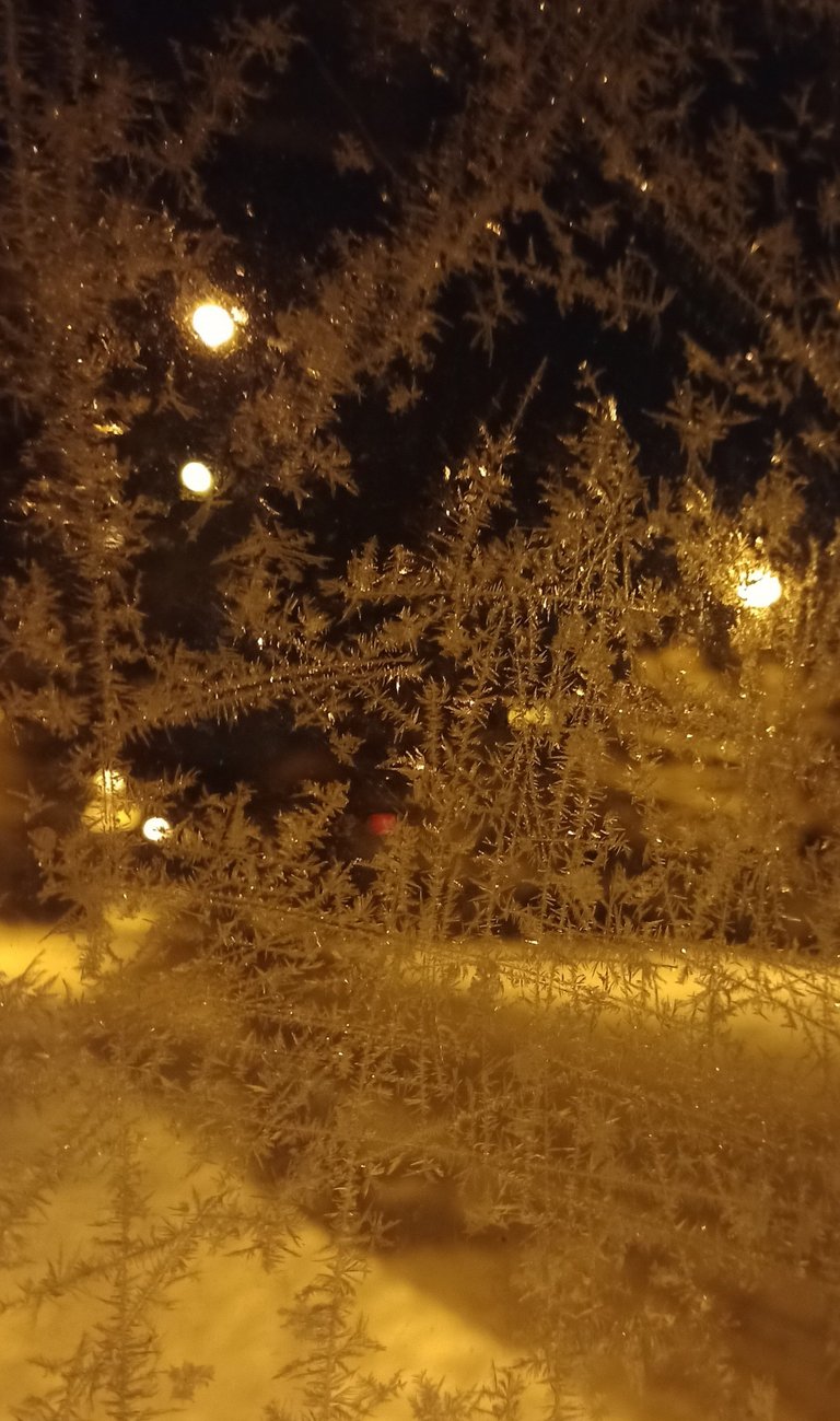 My Actifit Report Card: January 20 2026