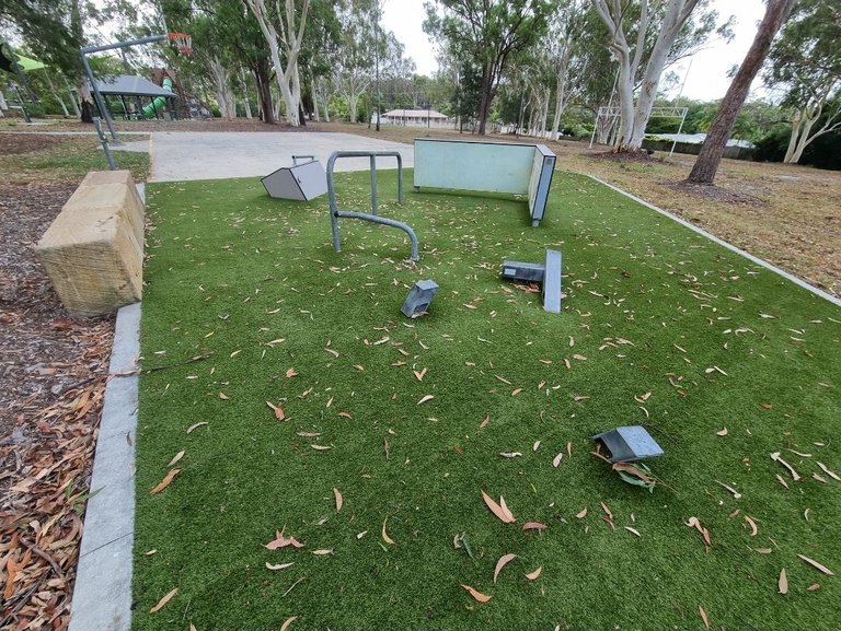 My Actifit Report Card: February 3 2026