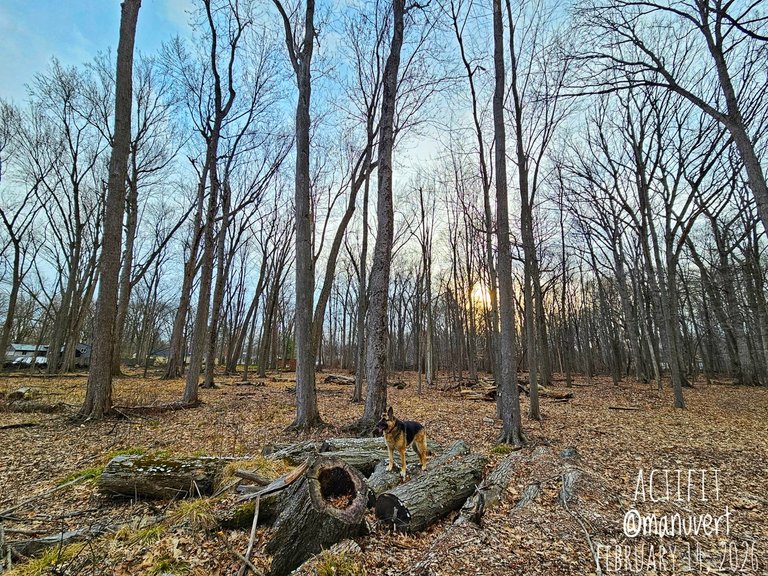 My Actifit Report Card: March 14 2026