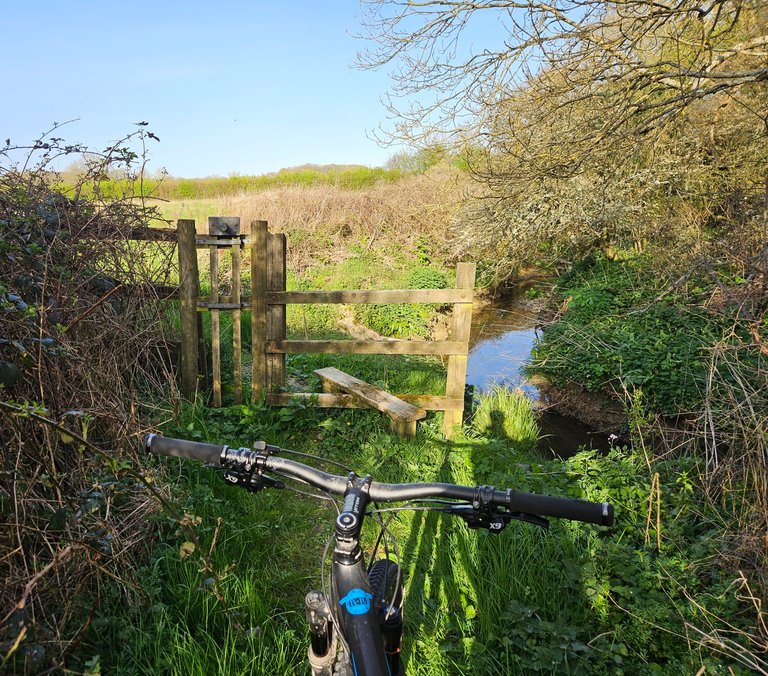 The smell of wild garlic!  : My Actifit Report Card: April 8 2026