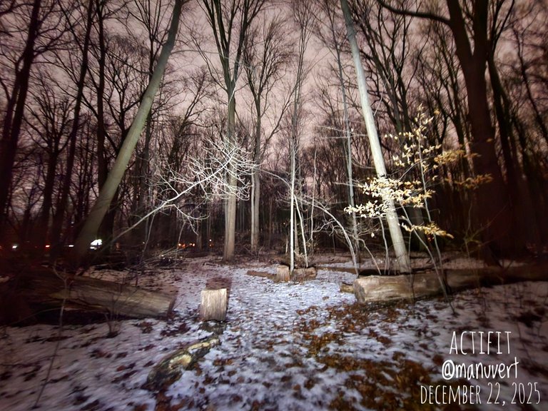 My Actifit Report Card: December 22 2025