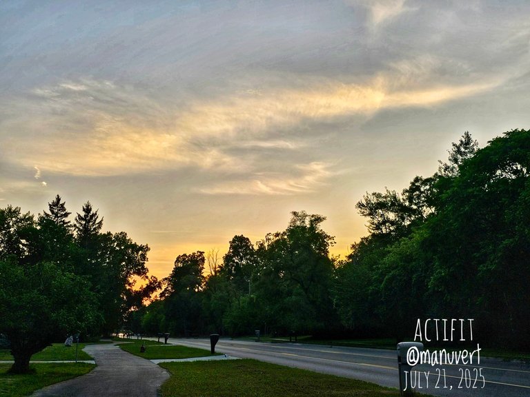 My Actifit Report Card: July 21 2025