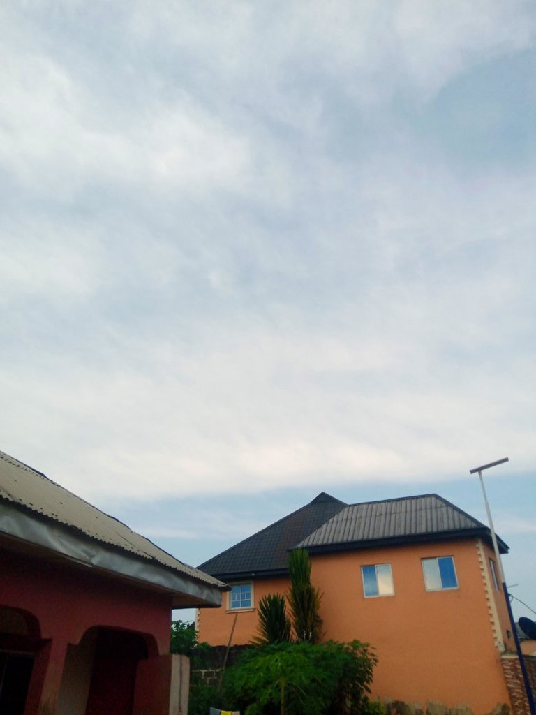 My Actifit Report Card: December 28 2025