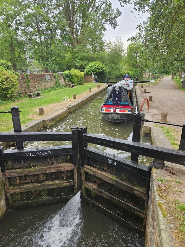 Millmead lock  : My Actifit Report Card: May 8 2026