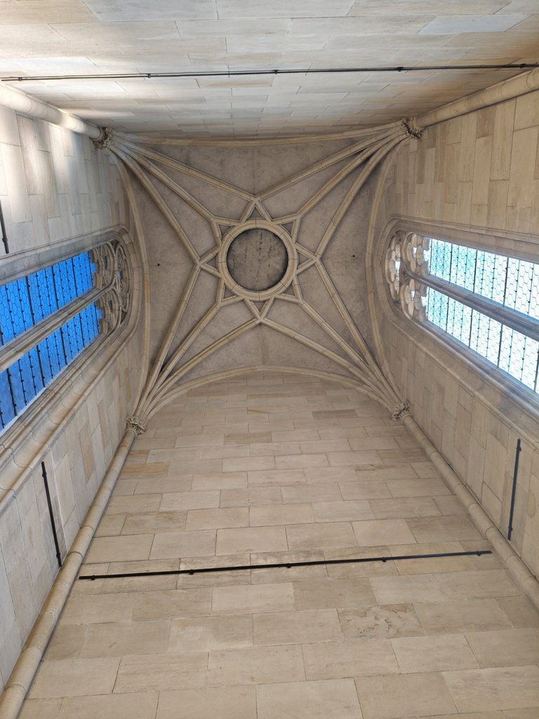 My Actifit Report Card: January 7 2026