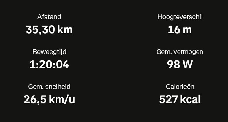 My Actifit Report Card: July 6 2025