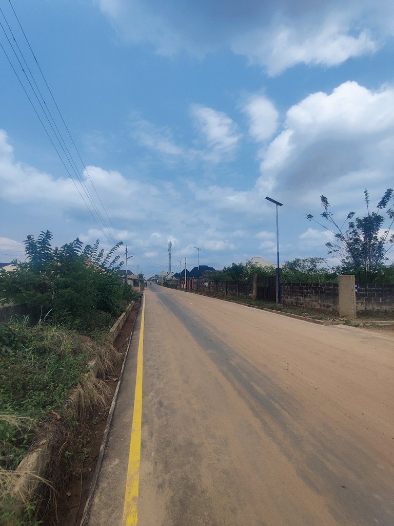 My Actifit Report Card: March 12 2026