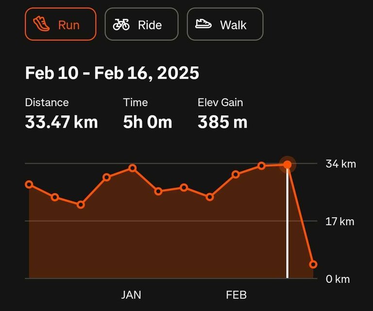 My Actifit Report Card: February 17 2025