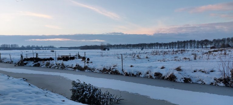 Back to work! - My Actifit Report Card: January 5 2026