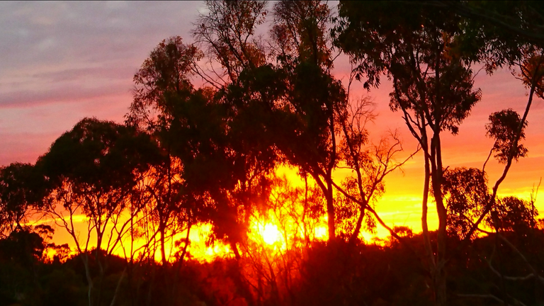 Sunset as I was leaving the Archery Range