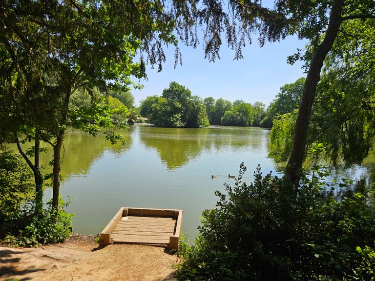 Park Life : My Actifit Report Card: May 16 2025