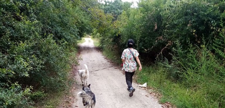 My Actifit Report Card: August 14 2025
