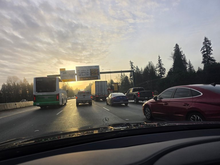 My Actifit Report Card: April 1 2026