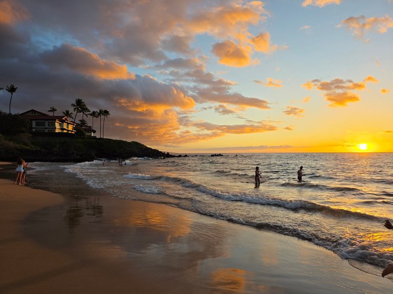 My Actifit Report Card: April 11 2026