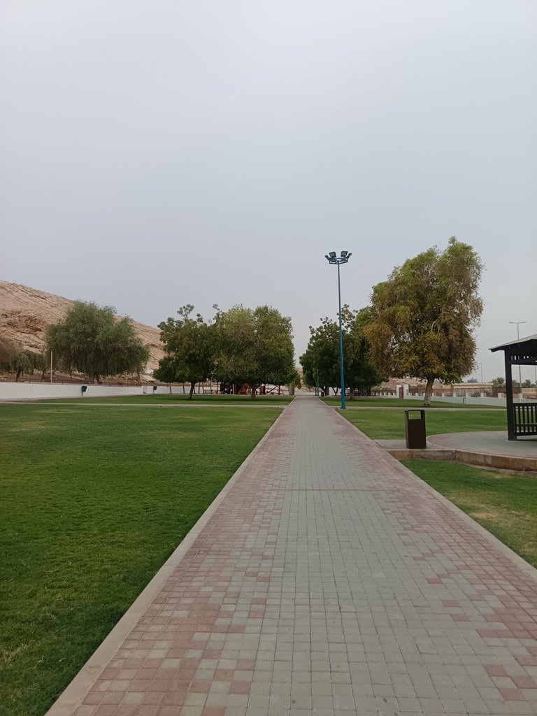 My Weekend (Friday) Diary, July 04, 2025 