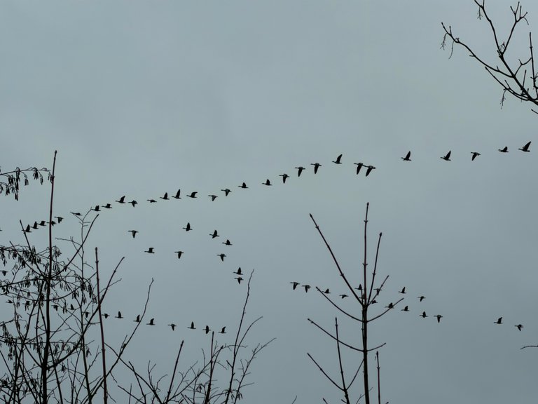 Grey Skies, Clear Mind