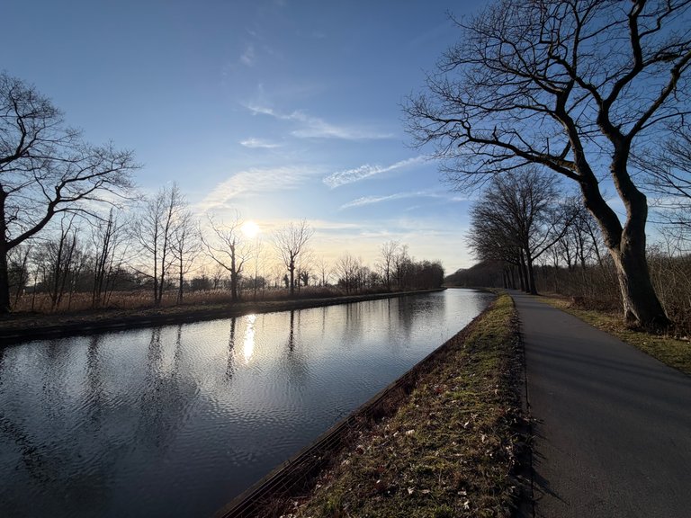 Five thousand steps. Cue the slow clap.