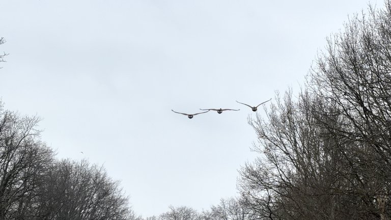 Recovery, But Make It Boring