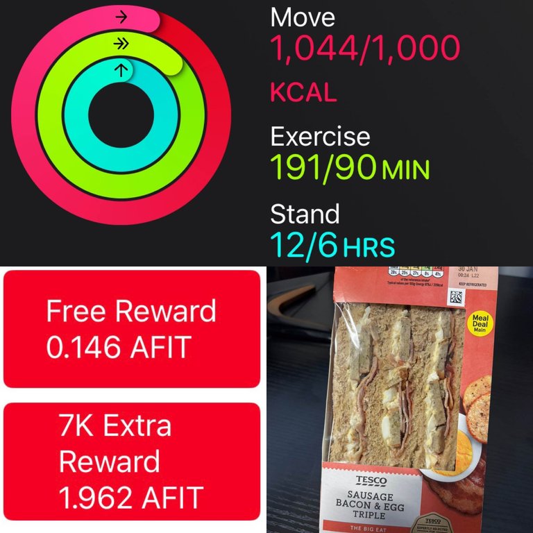 My Actifit Report Card: January 29 2025