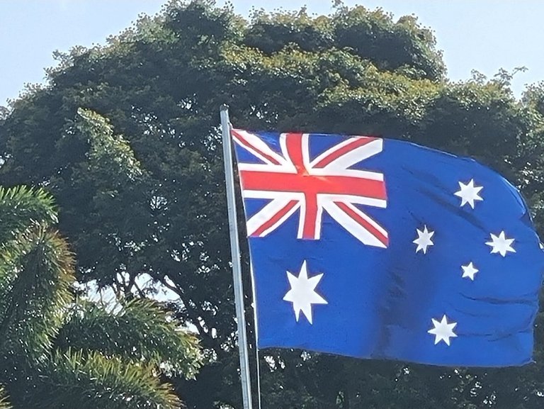 My Actifit Report Card: January 30 2026