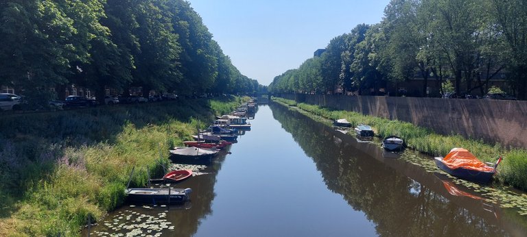 It's hot again! - My Actifit Report Card: June 19 2026