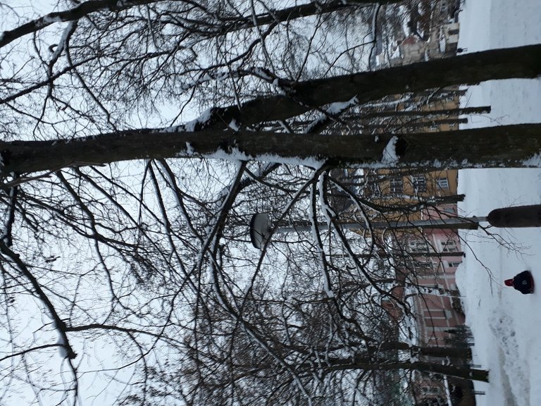 My Actifit Report Card: January 31 2026