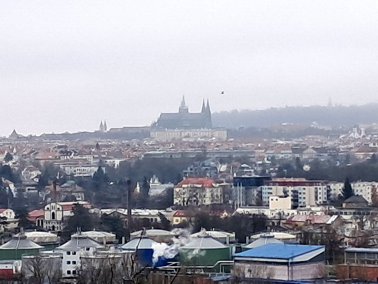 My Actifit Report Card: January 20 2026